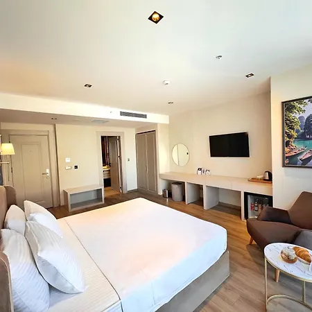 酒店 Park Dedeman Sisli