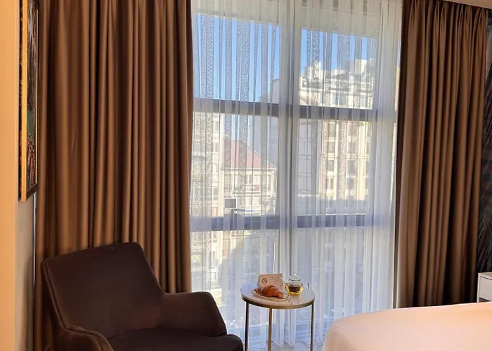 Park Dedeman Sisli 伊斯坦布尔