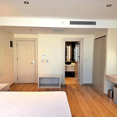 ホテル Park Dedeman Sisli *