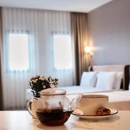 Park Dedeman Sisli ホテル *